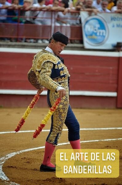 Ficheiro:Vitor Mendes F8.jpg
