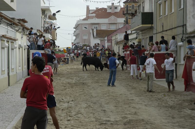 Ficheiro:Largadas 14Julho (1).JPG