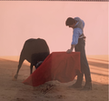 David Ferreira F6.png