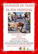 FimdeSemanaFreguesia SantoEstevao Benavente2019(2).jpg