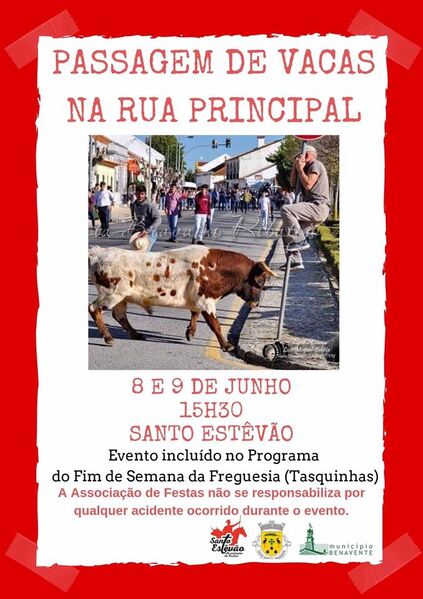 Ficheiro:FimdeSemanaFreguesia SantoEstevao Benavente2019(2).jpg