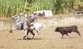 Ass Eh! Toiro F81.jpg