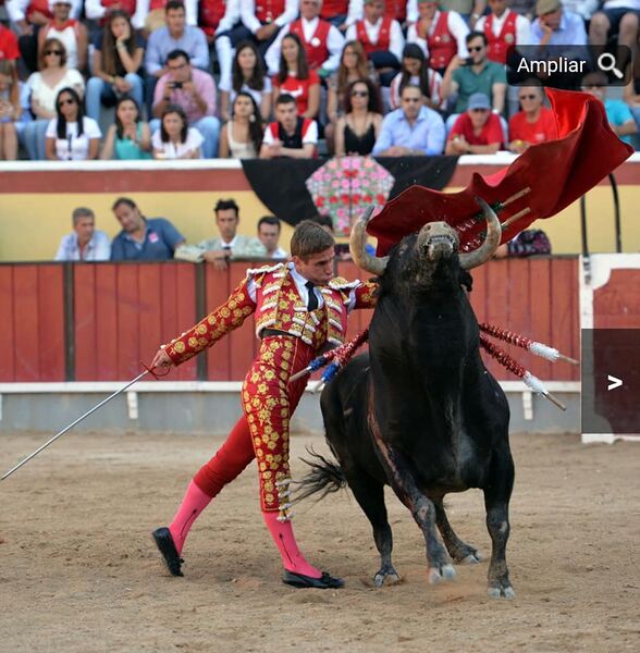 Ficheiro:Nuno Casquinha F26.jpg