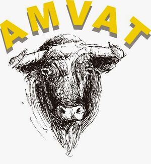 AMVAT.jpg