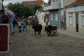 Largadas 16Julho (4).JPG