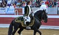 Paulo Jorge Ferreira F32.jpg