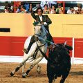 Tiago Martins F7.jpg