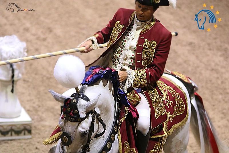 Ficheiro:ABP F19.jpg