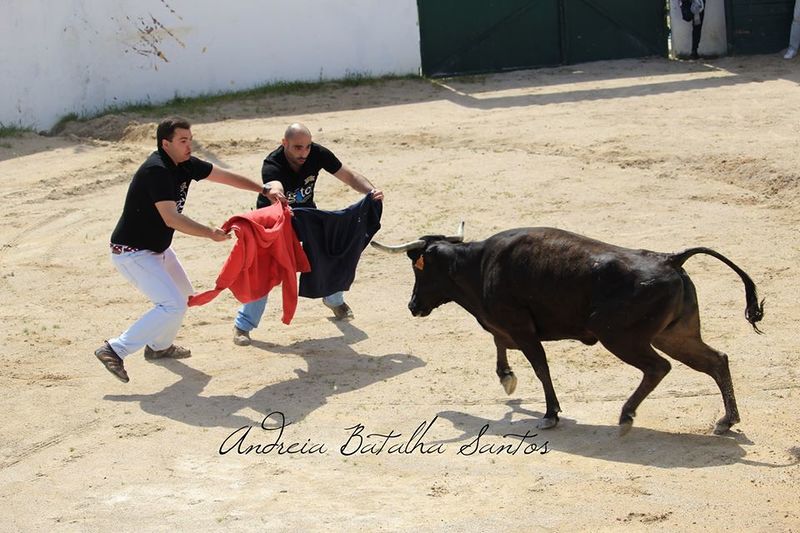 Ficheiro:UTA F6.jpg
