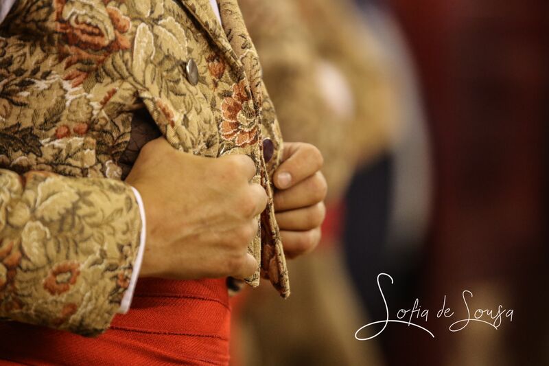 Ficheiro:Sofia Sousa F17.jpg