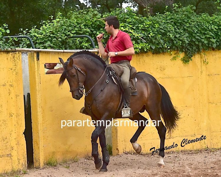 Ficheiro:ABP F12.jpg
