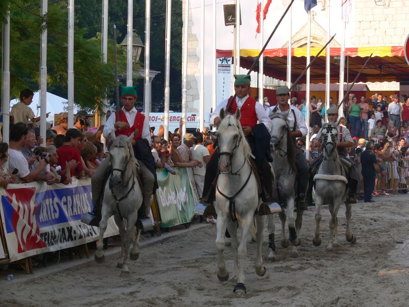 Ficheiro:FBVS 67.JPG