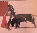 David Ferreira F8.png