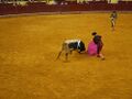 Campo Pequeno F7.JPG