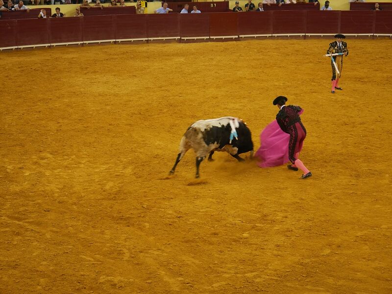 Ficheiro:Campo Pequeno F7.JPG