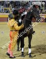 Parreirita Cigano F24.jpg