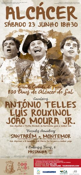 Ficheiro:Cartaz 0307.jpg