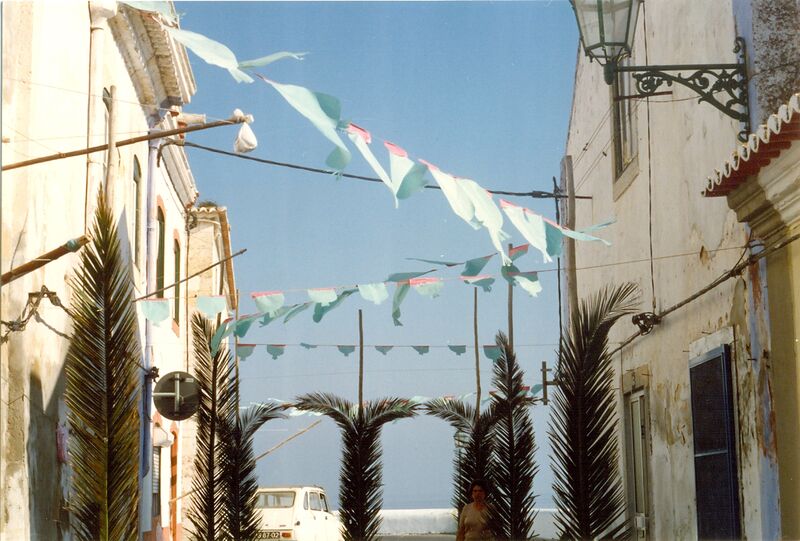 Ficheiro:F2231.jpg