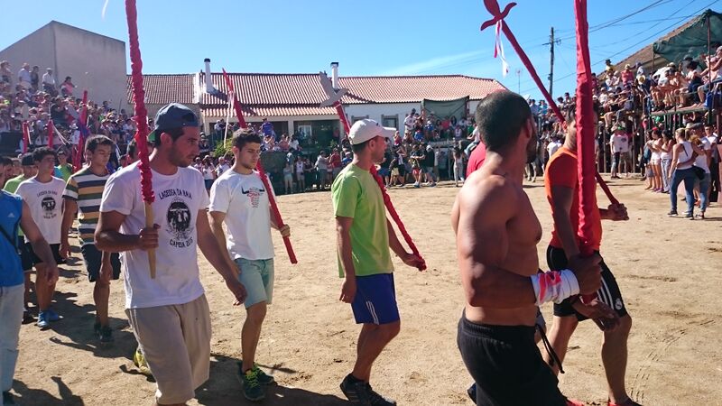 Ficheiro:CapeiaLageosaRaia 2015 DSC 0434.JPG