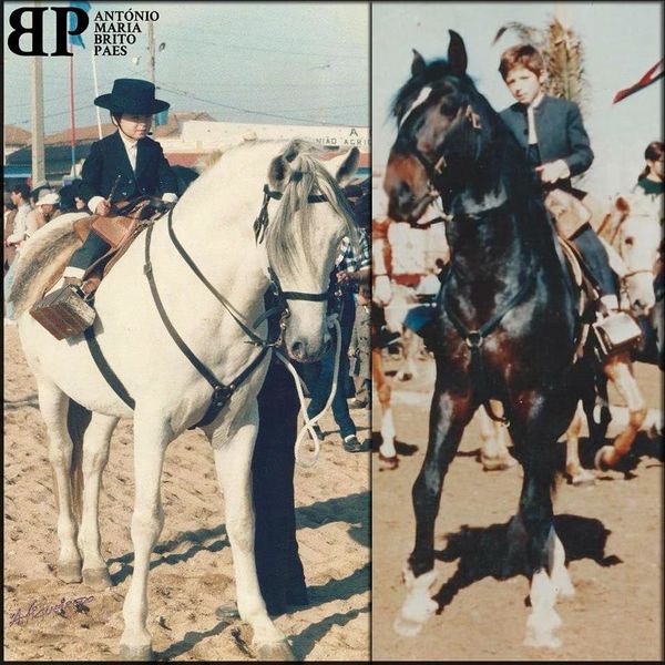 Ficheiro:ABP F29.jpg
