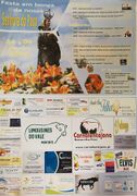 FestasBarbacena Elvas 2019(1).jpg