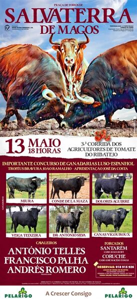 Ficheiro:SalvaterraMagos 19-de-maio-de-2018.jpg