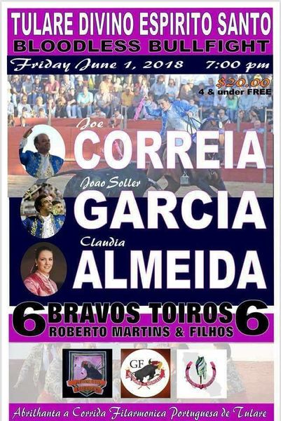 Ficheiro:Cartaz 0523.jpg