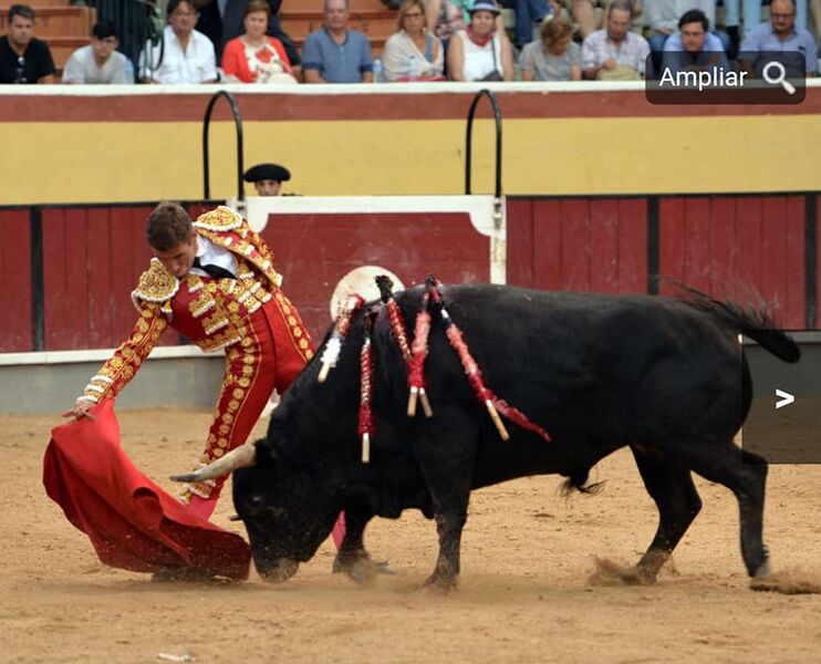Ficheiro:Nuno Casquinha F25.jpg