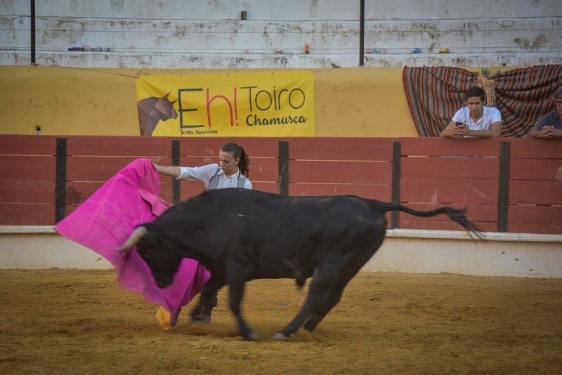 Ficheiro:Ass Eh! Toiro F117.jpg
