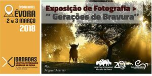 Cartaz da exposição fotográfica Gerações de Bravura