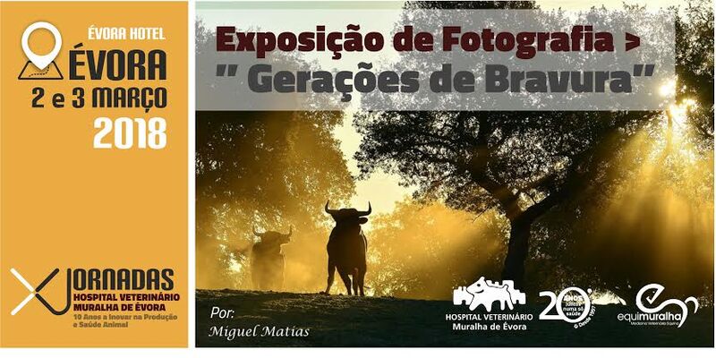 Ficheiro:G00378.jpg
