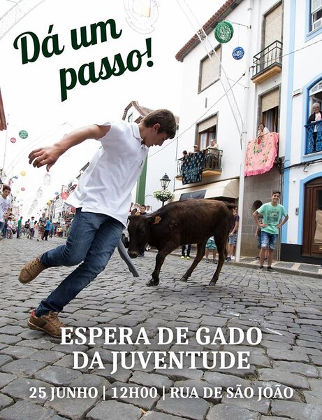 Ficheiro:EsperaGadoJuventude Sanjoaninas 2019.jpg