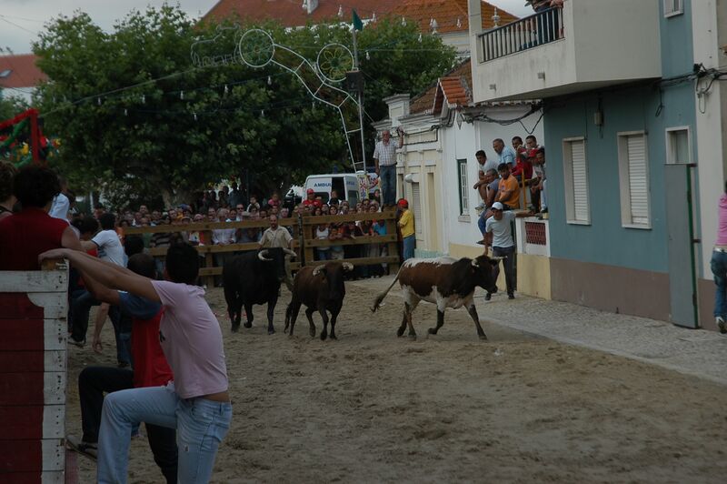 Ficheiro:Largadas 16Julho (3).JPG