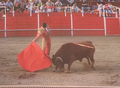 David Ferreira F15.png