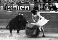 PACO F2.jpg