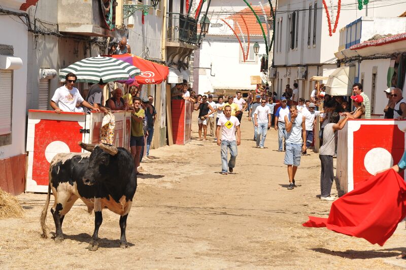 Ficheiro:FBVS 33.JPG