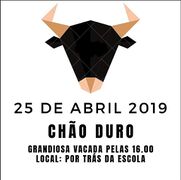 Festas25Abril ChaoDuro Moita 2019(1).jpg