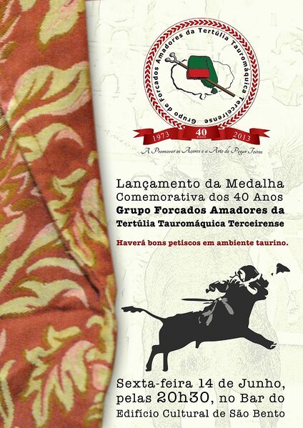 Ficheiro:Medalha GFATTT 2013.jpg