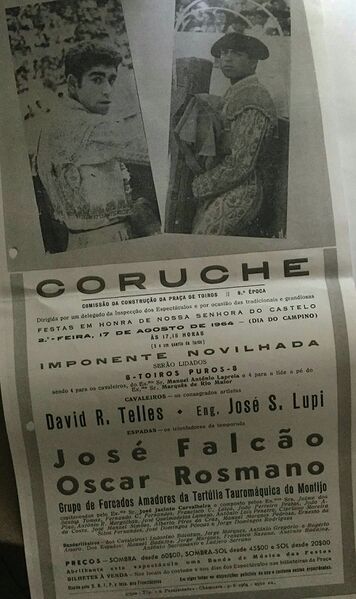 Ficheiro:Cartaz 0883.jpg