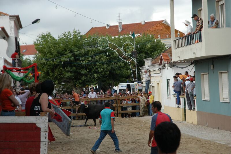 Ficheiro:Largadas 16Julho (6).JPG