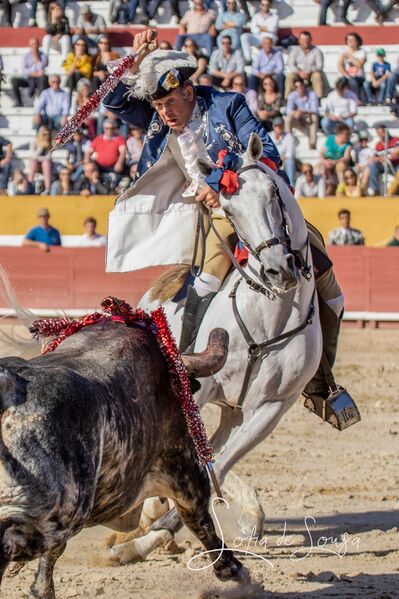 Ficheiro:Sofia Sousa F18.jpg