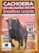 FestejosVerao Cachoeira Mafra 2019(2).jpg