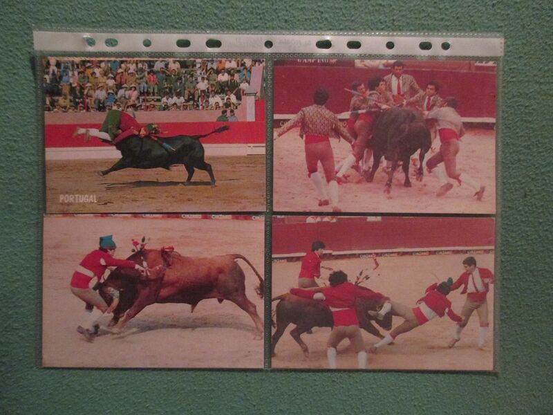 Ficheiro:San Fermin F39.JPG