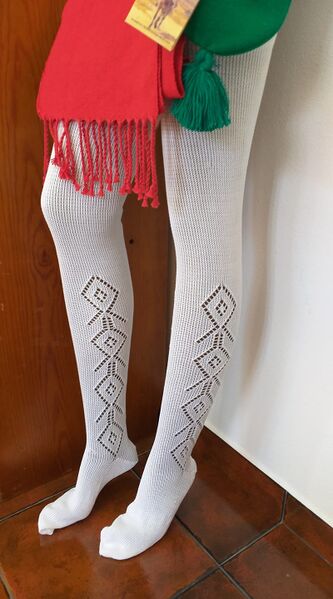 Ficheiro:Teresa Santos F21.jpg
