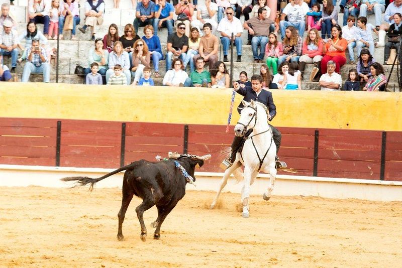 Ficheiro:Ass Eh! Toiro F21.jpg