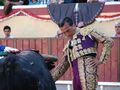 Vitor Mendes F2.jpg