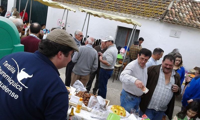 Ficheiro:TT Arrouquelense F6.jpg