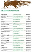 Capeias Calendario 2013.jpg