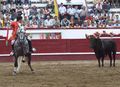 Tiago Carreiras F16.jpg