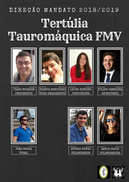 Ficheiro:TT FMV-UL C2.jpg